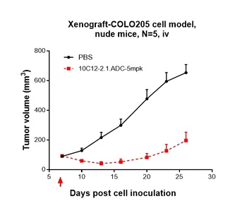 Anti-CDH17 / Cadherin-17 Reference Antibody (10C12)