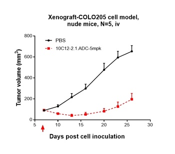 Anti-CDH17 / Cadherin-17 Reference Antibody