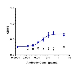 Anti-AA2AR / Adenosine A2aR Reference Antibody