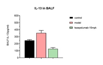 Anti-TSLP Reference Antibody