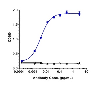 Anti-VEGFC Reference Antibody