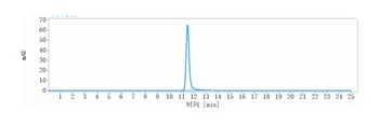 VEGF Antibody