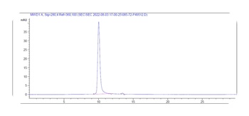 Anti-IL-33 Reference Antibody (tozorakimab)