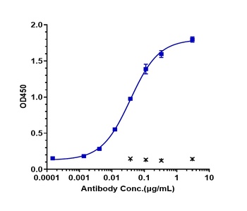 TNFRSF10B/TRAILR2/CD262 Antibody