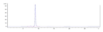 Anti-TIGIT Reference Antibody