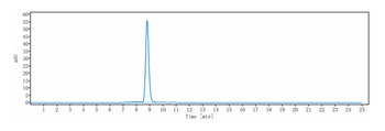 Amyloid Beta Antibody