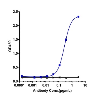 Anti-SLC34A2 Reference Antibody (upifitamab)