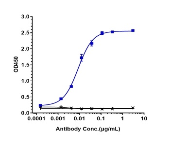 Anti-Siglec-2 / CD22 Reference Antibody (pinatuzumab)