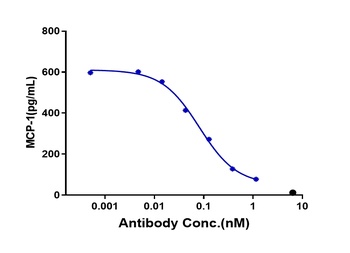 Anti-OSMR Reference Antibody