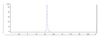 Anti-IL-6 / IFNb2 Reference Antibody (sirukumab)
