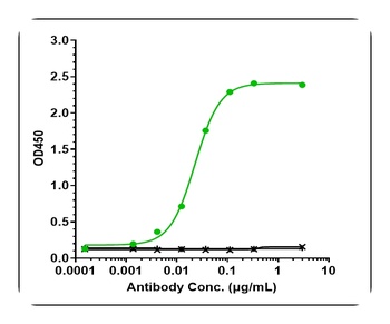 Anti-IL-6 / IFNb2 Reference Antibody (siltuximab)