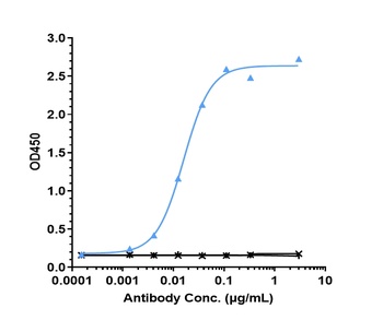 Anti-IL-6 / IFNb2 Reference Antibody