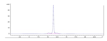 Anti-IL-6 / IFNb2 Reference Antibody (Chugai SK2)