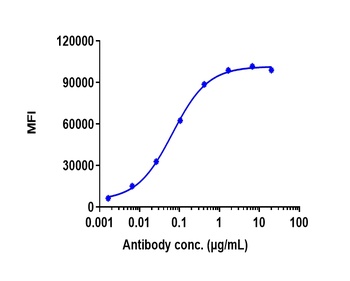 Anti-CD20 Reference Antibody