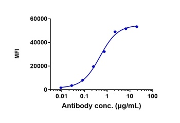 CD20 Antibody