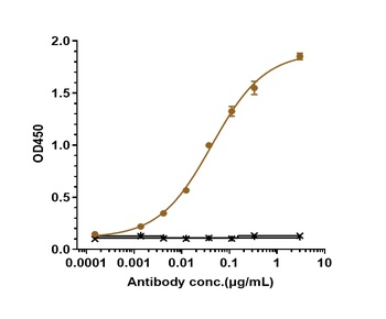 IL-23a Antibody