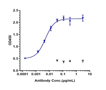 Anti-FcRn (FCGRT & B2M) Reference Antibody (nipocalimab)