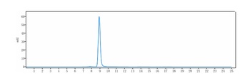 HGFR / c-Met Reference Antibody