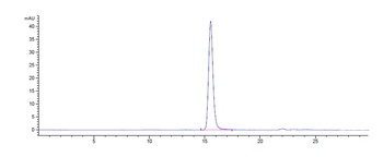 Anti-CD47 Reference Antibody