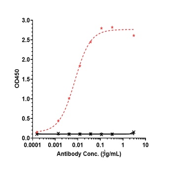 Anti-CD47 Reference Antibody