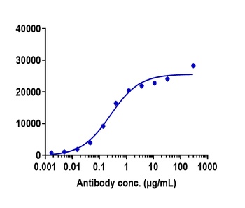 Anti-CD47 Reference Antibody