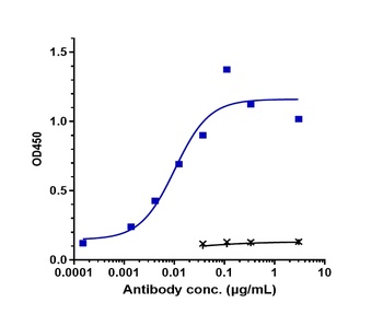 Anti-ERBB1 / EGFR / HER1 Reference Antibody