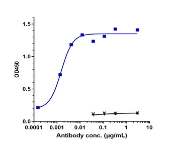 Anti-ERBB1 / EGFR / HER1 Reference Antibody