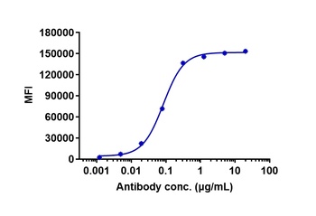 ERBB1/EGFR/HER1 Antibody