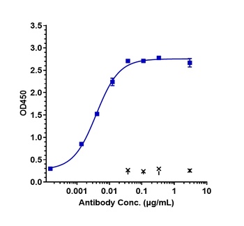 Anti-DLL4 Reference Antibody