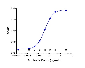 Anti-AXL / UFO Reference Antibody