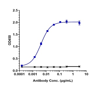 CEACAM5/CEA/CD66e Antibody