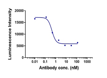 Anti-CD4 Reference Antibody