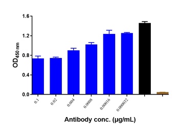 Anti-CD4 Reference Antibody