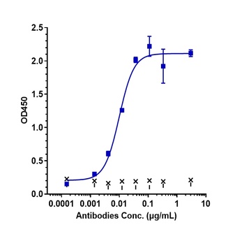 TNFRSF4/OX40/CD134 Antibody