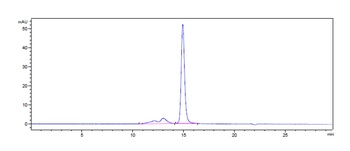 Anti-FcRn (FCGRT & B2M) Reference Antibody