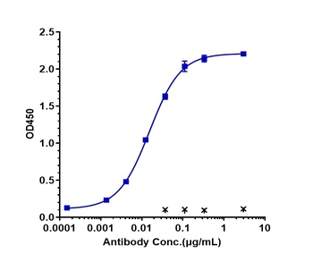 Anti-AXL / UFO Reference Antibody