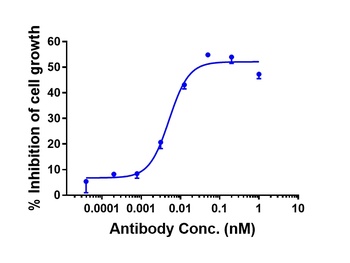 Anti-AXL / UFO Reference Antibody (tilvestamab)