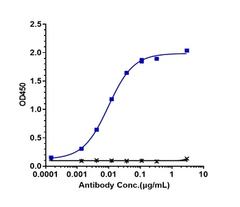 Anti-TNFRSF5 / CD40 Reference Antibody