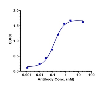 Anti-TNFRSF10B / TRAILR2 / CD262 Reference Antibody
