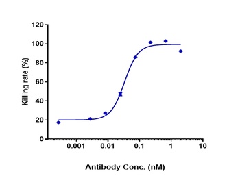 Anti-TREM1 / CD354 Reference Antibody