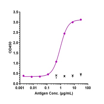 Anti-Complement C5 Reference Antibody (eculizumab)