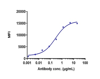 Anti-TNFSF7 / CD27L / CD70 Reference Antibody