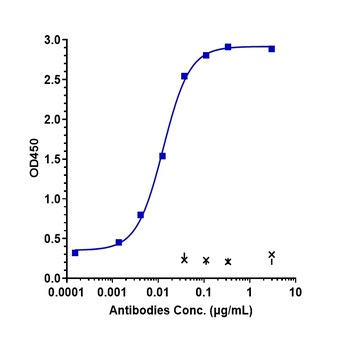 Anti-DLK1 Reference Antibody