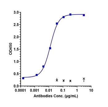 Anti-DLK1 Reference Antibody (LIV-1205)