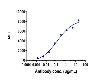 Anti-DLK1 Reference Antibody