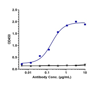 Anti-CXCR3 / GPR9 / CD183 Reference Antibody