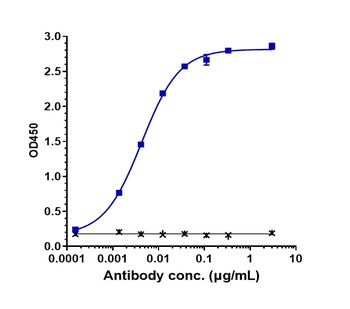 Anti-Complement C2 Reference Antibody