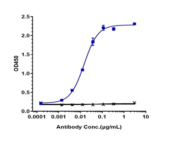 Anti-IFNAR1 Reference Antibody (anifrolumab)
