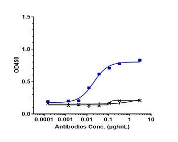 Anti-CALCRL / CGRPR Reference Antibody
