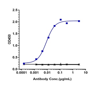 Anti-TNFRSF13C / BAFFR / CD268 Reference Antibody